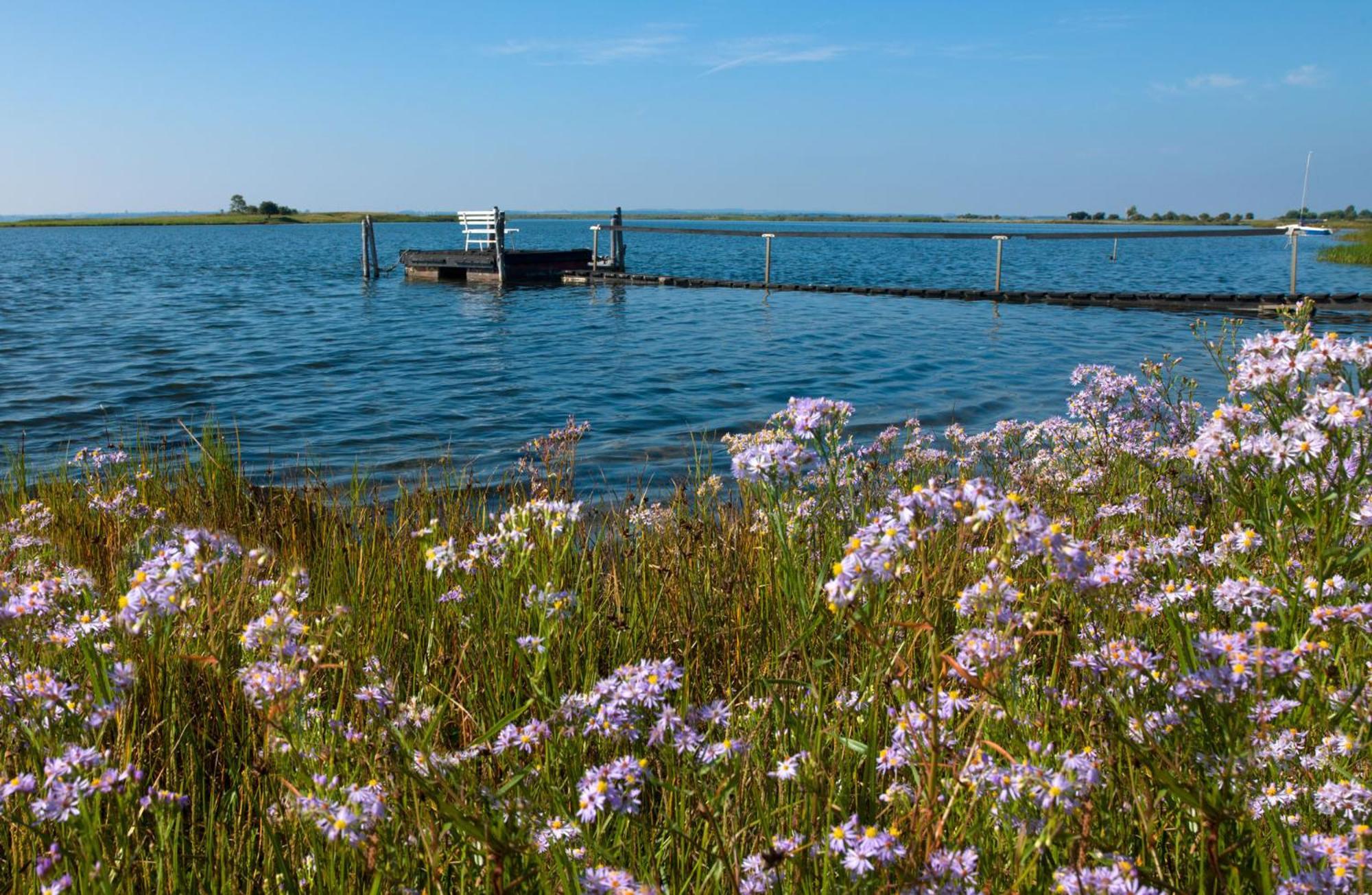 Ferienwohnungen Am Lotsenstieg Abendrot Poel Exterior foto